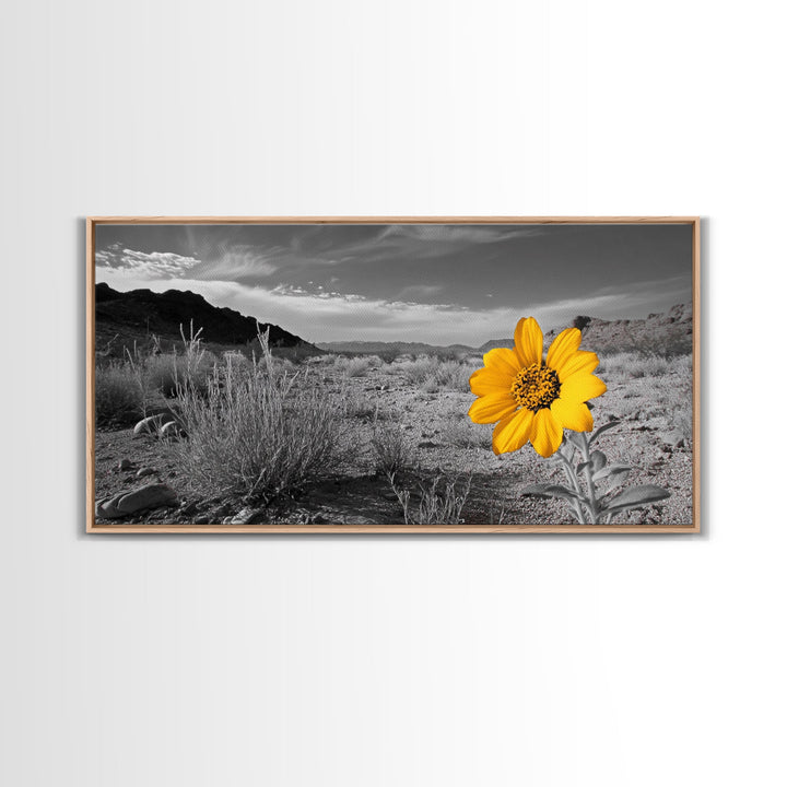 Yellow Flower Desert Bloom Canvas Minimalist Botanical Wall Art