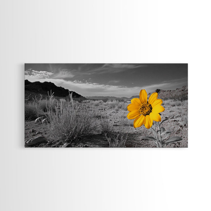 Yellow Flower Desert Bloom Canvas Minimalist Botanical Wall Art