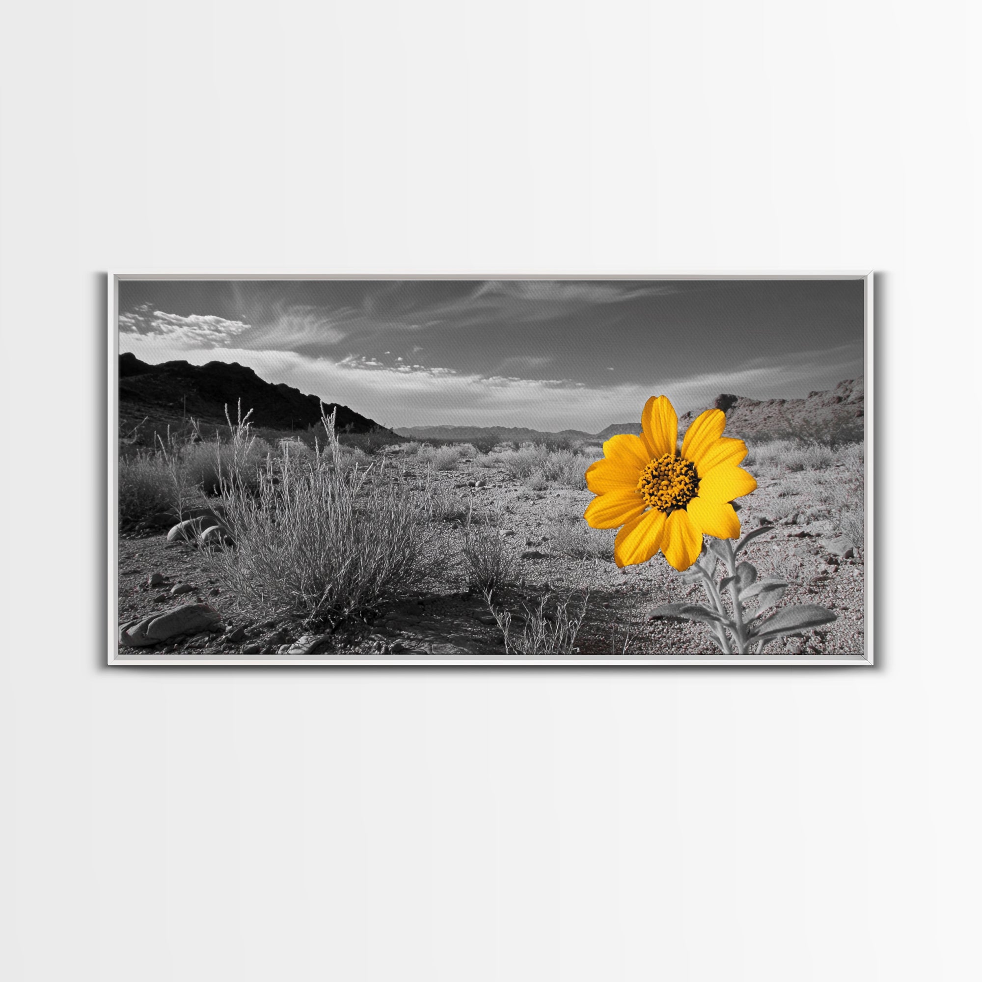 Yellow Flower Desert Bloom Canvas Minimalist Botanical Wall Art