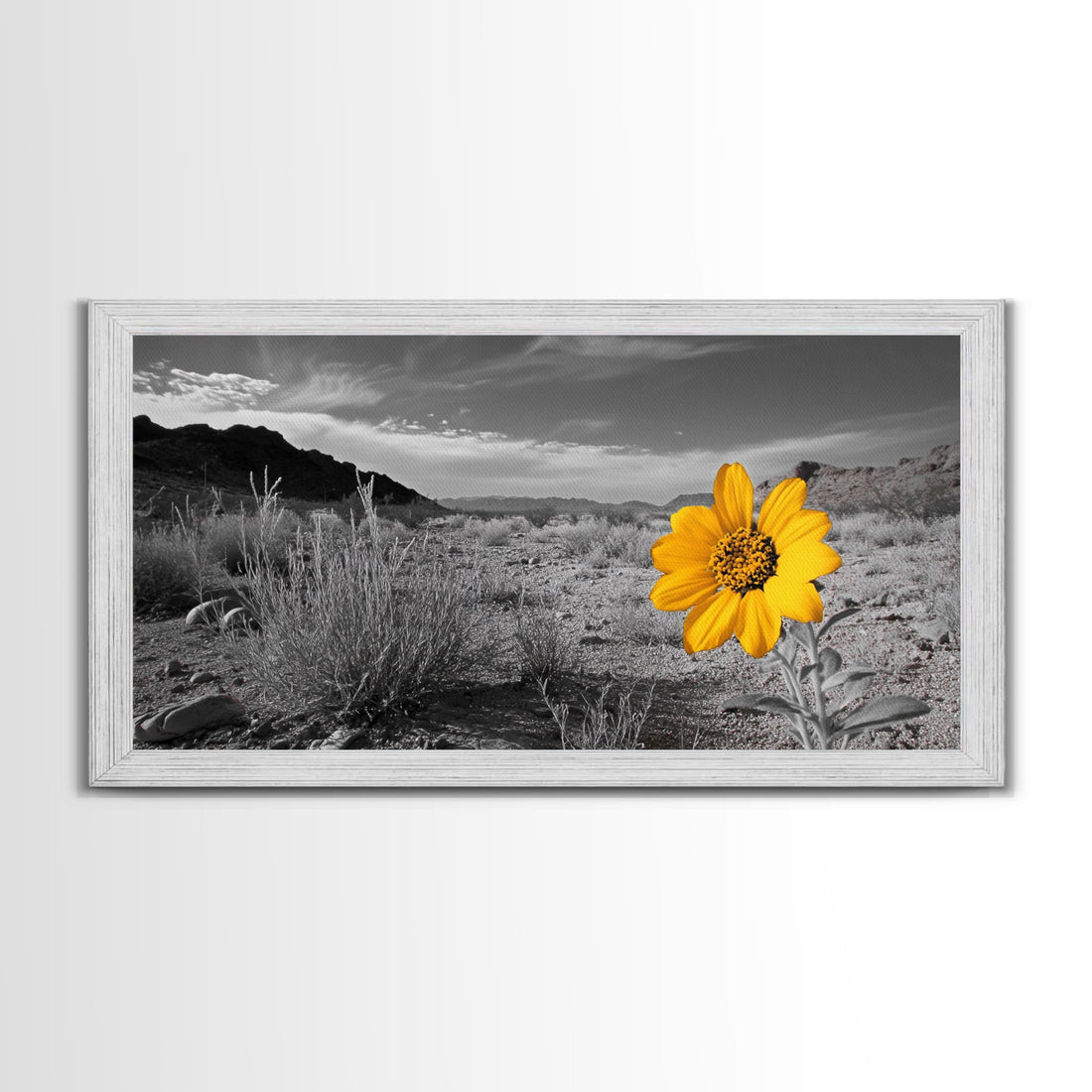 Yellow Flower Desert Bloom Canvas Minimalist Botanical Wall Art