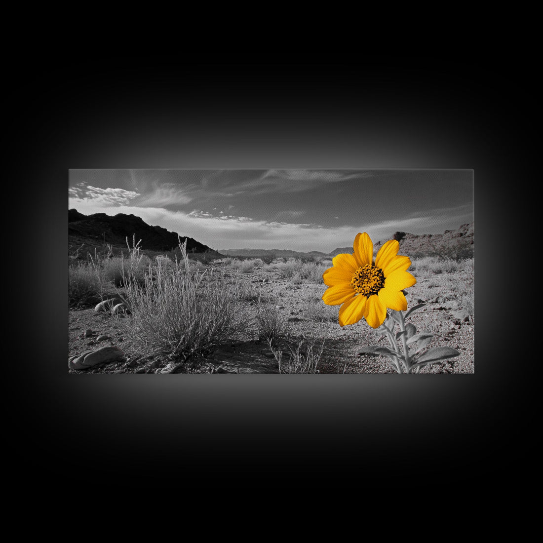 Yellow Flower Desert Bloom Canvas Minimalist Botanical Wall Art