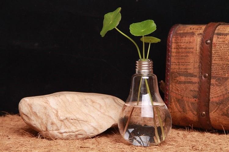 Glass Bulb Hanging Vase Hydroponic Plant Decorative Home Wedding