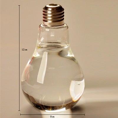 Glass Bulb Hanging Vase Hydroponic Plant Decorative Home Wedding