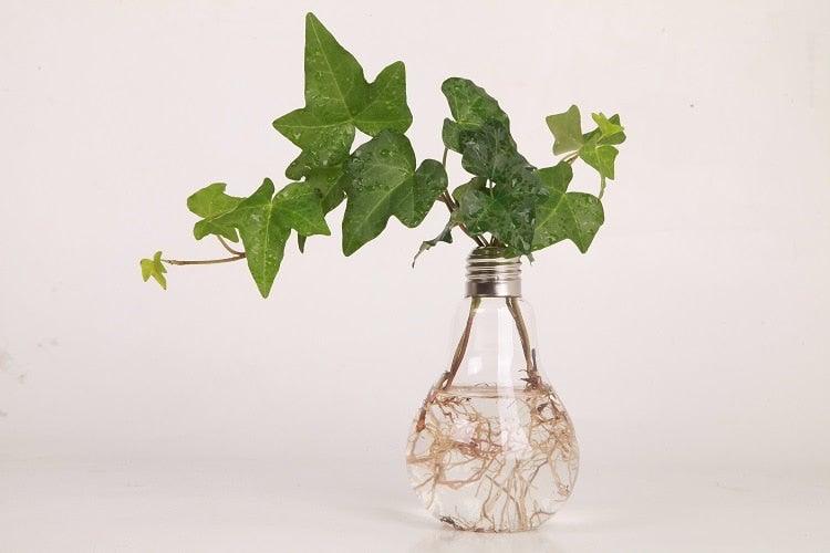 Glass Bulb Hanging Vase Hydroponic Plant Decorative Home Wedding
