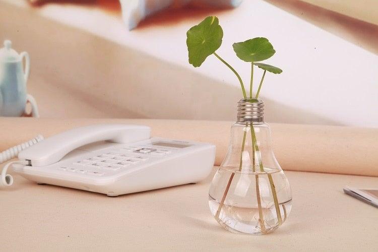 Glass Bulb Hanging Vase Hydroponic Plant Decorative Home Wedding